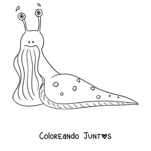 Imagen para colorear de una babosa con antenas largas y cola en punta