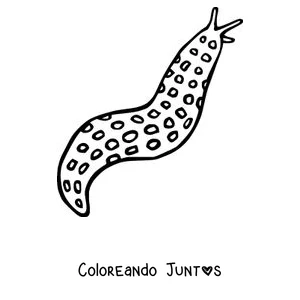 Imagen para colorear de una babosa leopardo llena de lunares