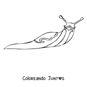 Imagen para colorear de una babosa realista de cuerpo liso