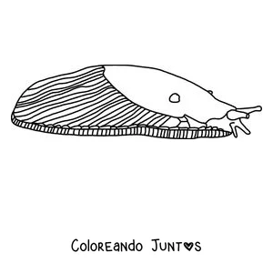 Imagen para colorear de una babosa realista de perfil con el manto rayado