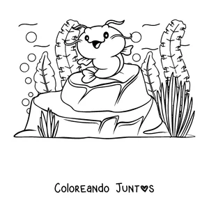 Imagen para colorear de un bagre bebé sentado en una roca