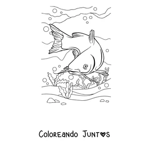Imagen para colorear de un bagre buceando hacia el fondo
