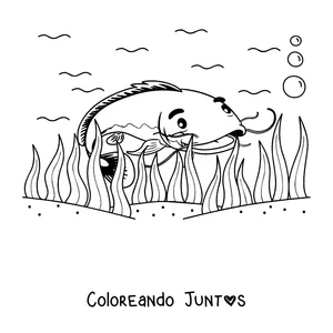 Imagen para colorear de un bagre nadando entre las algas