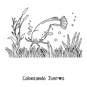Imagen para colorear de un bagre nadando entre juncos