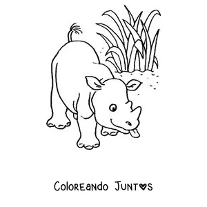 Imagen para colorear de un bebé rinoceronte y su mamá comiendo pasto