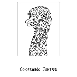 Imagen para colorear de la cabeza de una avestruz vista de cerca