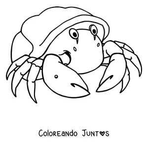 Imagen para colorear de un cangrejo ermitaño en su caracola