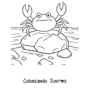 Imagen para colorear de un cangrejo sobre una roca en la orilla