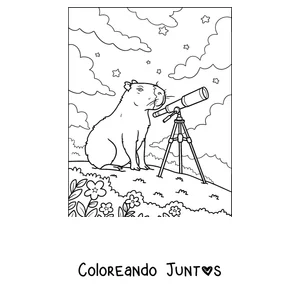 Imagen para colorear de un capibara mirando las estrellas con un telescopio