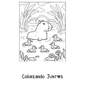 Imagen para colorear de un capibara nadando con patitos