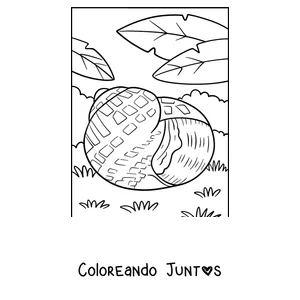 Imagen para colorear de un caracol escondido dentro de su concha