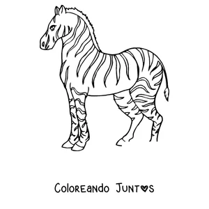 Imagen para colorear de una cebra de pie de perfil