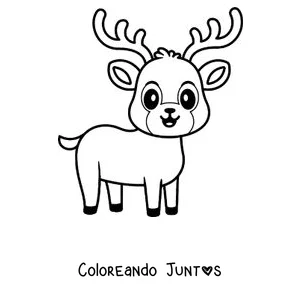 Imagen para colorear de un cervatillo tierno visto de frente