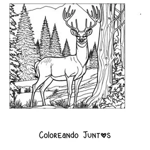 Imagen para colorear de un ciervo en el bosque de pinos