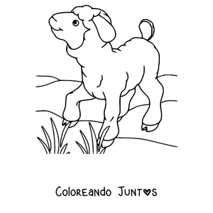 Imagen para colorear de corderito en el pasto bajo el sol