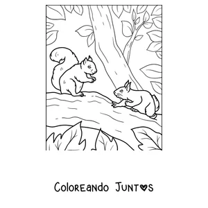 Imagen para colorear de dos ardillas jugando en una rama