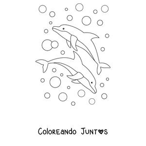 Imagen para colorear de dos delfines nadando entre burbujas