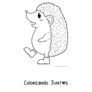 Imagen para colorear de un erizo caminando en dos patas con botas