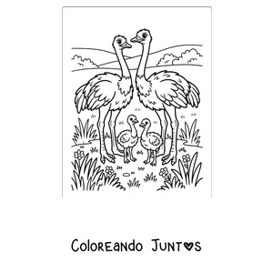 Imagen para colorear de una familia de avestruces con sus crías