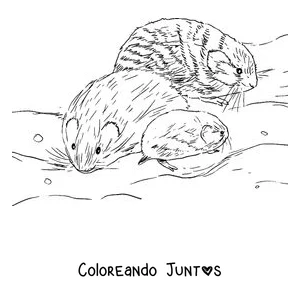 Imagen para colorear de una familia de lemmings en la nieve