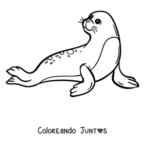 Imagen para colorear de una foca descansando sobre el hielo