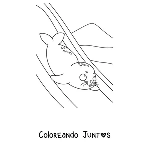 Imagen para colorear de una foca deslizándose por la nieve