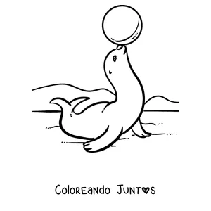 Imagen para colorear de una foca haciendo equilibrio con una pelota en la nariz