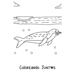 Imagen para colorear de una foca leopardo nadando