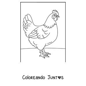 Imagen para colorear de una gallina realista de perfil