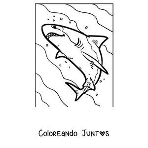 Imagen para colorear de un gran tiburón blanco realista nadando hacia la superficie