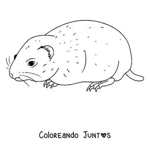 Imagen para colorear de un lemming caminando de perfil