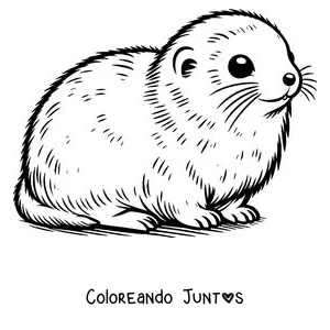 Imagen para colorear de un lemming redondito descansando