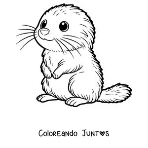 Imagen para colorear de un lemming tierno sentado de frente