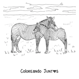 Imagen para colorear de una mamá cebra junto a su cría