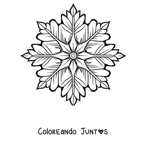 Imagen para colorear de un mandala de invierno con una gran estrella de puntas y hojas