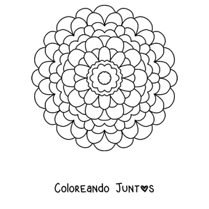 Imagen para colorear de un mandala de primavera con forma de dalia redonda de muchos pétalos