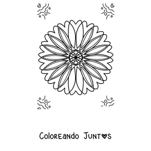 Imagen para colorear de un mandala de primavera con forma de margarita de muchos pétalos
