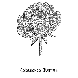 Imagen para colorear de un mandala de primavera con forma de peonía llena de pétalos con detalles