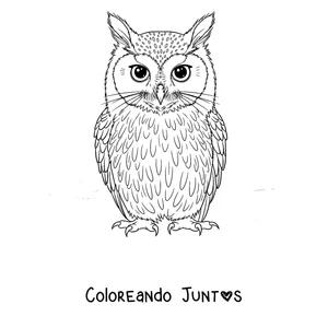 Imagen para colorear de un Meowl majestuoso con grandes ojos