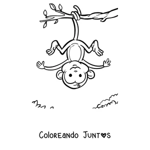 Imagen para colorear de un mono colgado de cabeza desde una rama