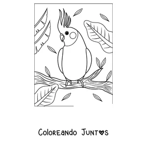 Imagen para colorear de un papagayo con copete posado en una rama