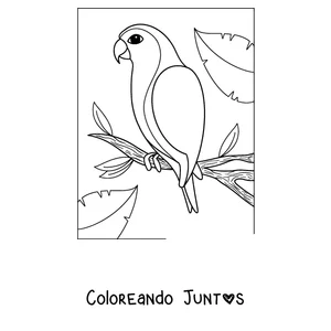 Imagen para colorear de un papagayo de contorno simple posado