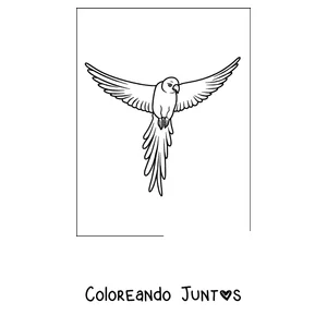 Imagen para colorear de un papagayo de contorno simple volando