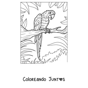 Imagen para colorear de un papagayo detallado posado en una rama con hojas