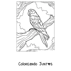 Imagen para colorear de un guacamayo posado en una rama