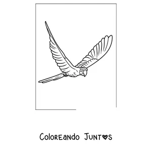 Imagen para colorear de un guacamayo jacinto volando con las alas abiertas