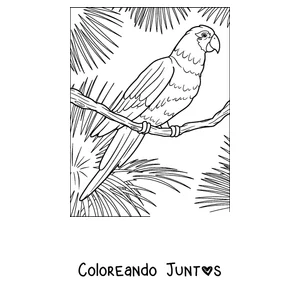 Imagen para colorear de un papagayo posado entre hojas tropicales