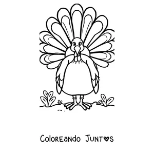 Imagen para colorear de un pavo con la cola de plumas bien abierta