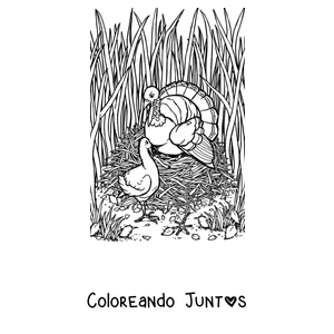 Imagen para colorear de un pavo realista caminando por el pasto