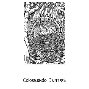 Imagen para colorear de un pavo realista parado entre la hierba